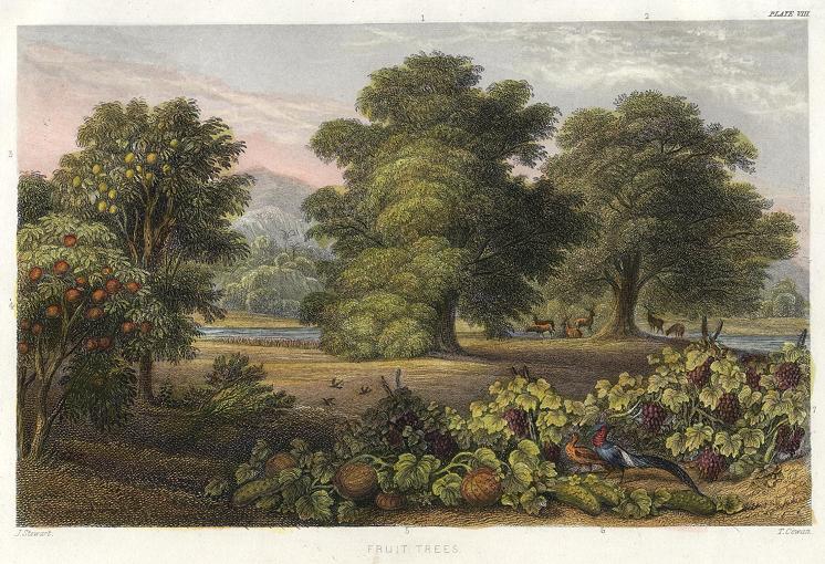 Fruit Trees, 1866