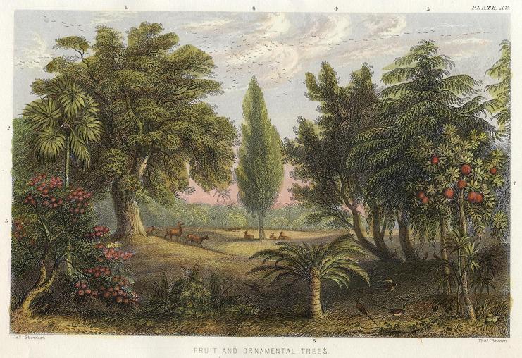 Fruit & Ornamental Trees, 1866