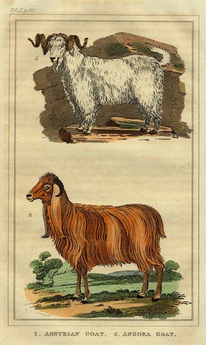 Goats, 1822