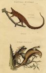 Manis & Ant Eater, 1813