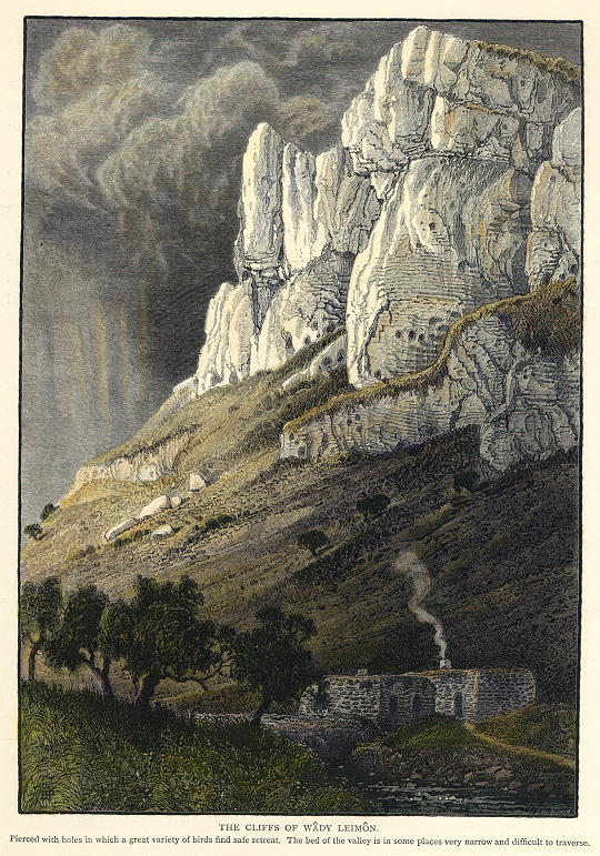 Cliffs of the Wady Leimon, 1880