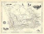 digital image download map of cape colony by Tallis / Rapkin